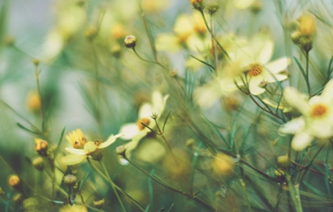 男人准备放弃你的表现（有其中三种就要留意了）