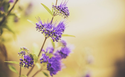 如何挽回前女友的方法（牢记这四点很重要）