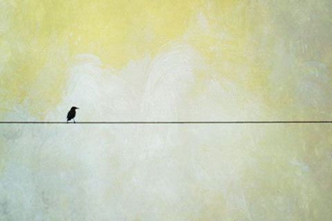 好男人四大特征（遇到这样的男人要珍惜）