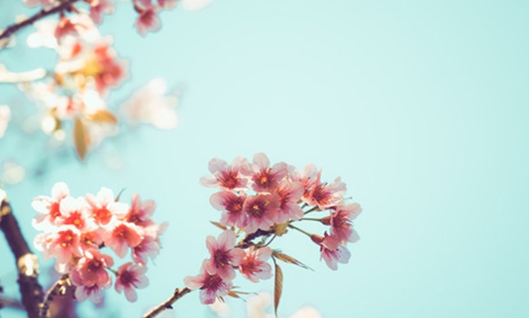 不交钱的丈夫怎么处理?这个好办法可以试试 不交钱的丈夫怎么处理?这个好办法可以试试