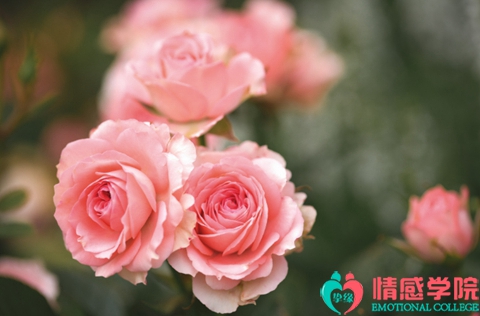 出轨女人要不要挽留？