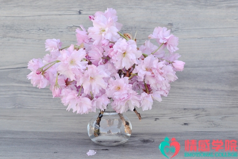 女友出轨前夫能挽回吗？