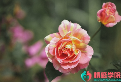 女人出轨的表现有哪些？