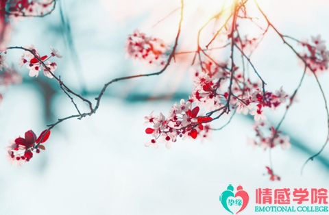 老公出轨后想挽回的表现？