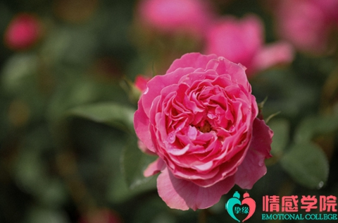 老公出轨后想挽回的表现？