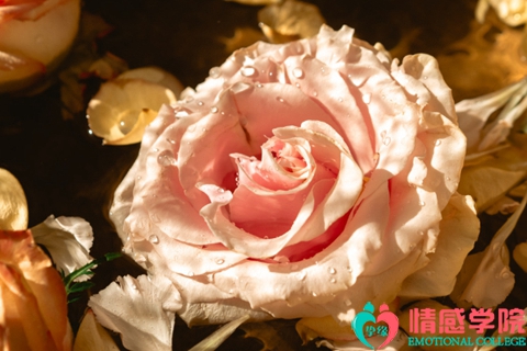 感情破裂怎么挽回
