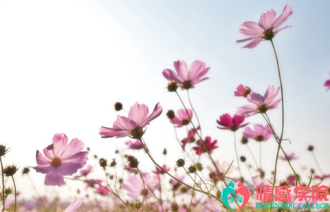 我该如何来提高自己的挽回能力 我该如何来提高自己的挽回能力