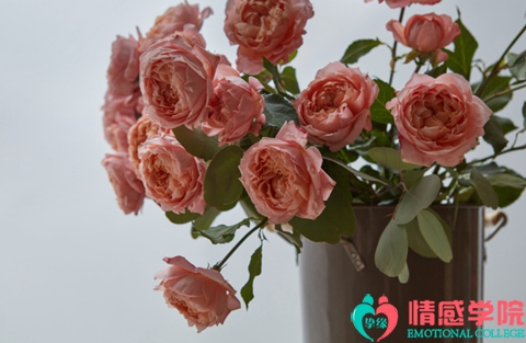 离婚后如何挽回感情