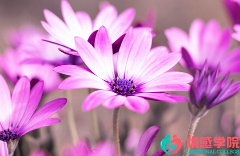 想开口说挽留老婆怎么说 想开口说挽留老婆怎么说