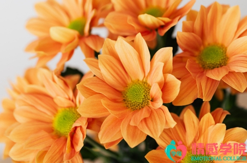 离婚后如何挽回前妻？