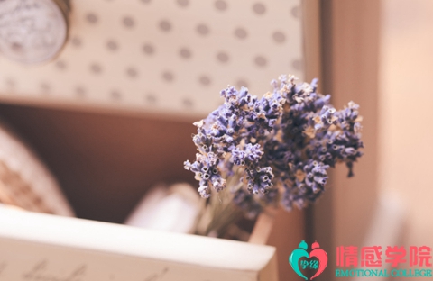 想复婚如何挽回前夫？