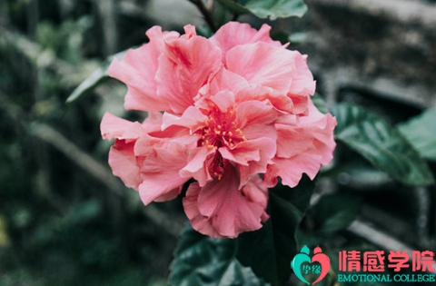 女人出轨的表现有哪些？