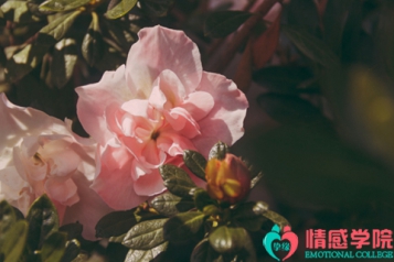 如何对付老公的小三？对付小三必备