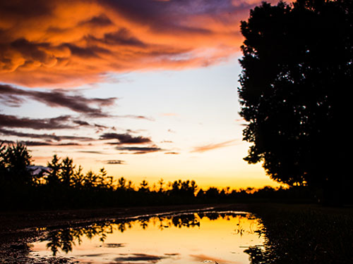 不要因为一时的冲动而闪婚 不要因为一时的冲动而闪婚