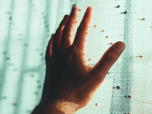 不要因为一时的冲动而闪婚 不要因为一时的冲动而闪婚